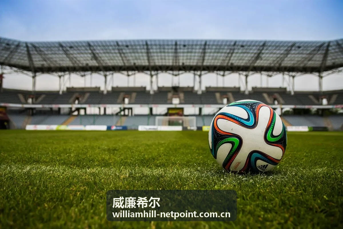威廉希尔服务指南赛事资讯模块示意图